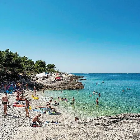 1 Bedroom Cozy In Apartment *