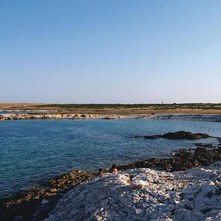 Apartment 1 Bedroom Cozy In